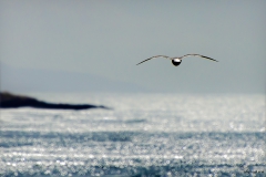 Vers d'autre horizon