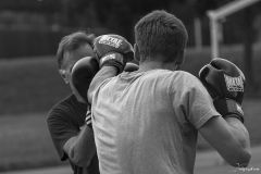 Boxe ext-100