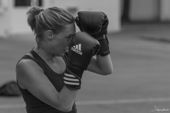 Boxe ext-105