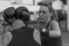 Boxe ext-107