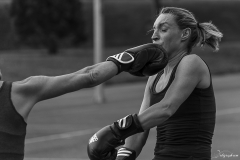 Boxe ext-109