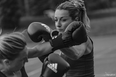 Boxe ext-110
