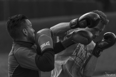 Boxe ext-113