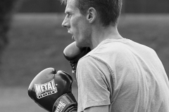 Boxe ext-99