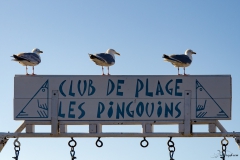 le_trio