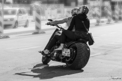 la_harley