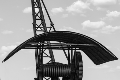 vieille_grue