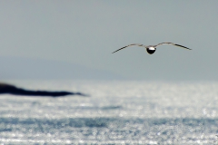 vers_d_autre_horizon