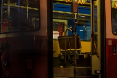 wien113