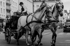 wien061