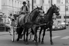 wien063