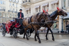 wien076