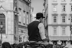 wien088