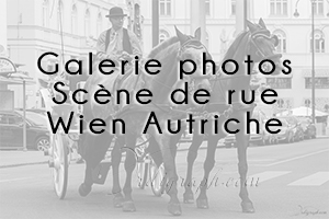 Wien scene de rue